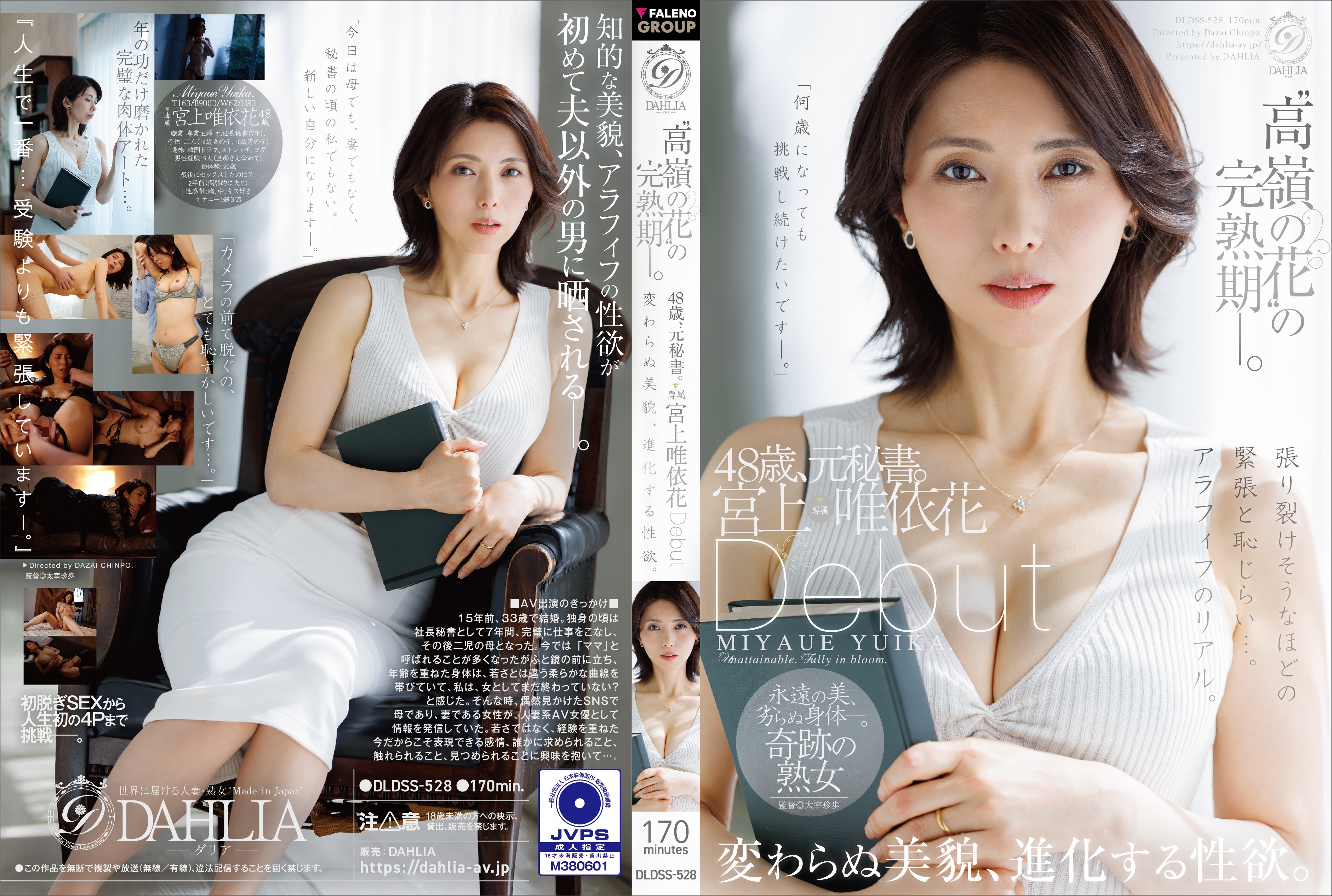 DLDSS-528 Hibiki Otsuki - Cine Japonés para Latinoamérica [Sin Cortes] Full HD